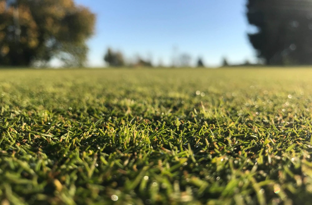 Integrierter Pflanzenschutz